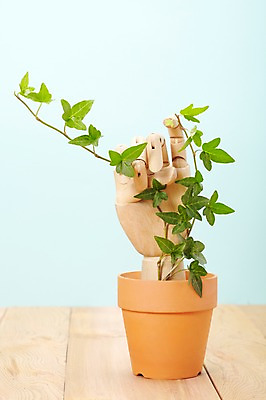 포토 JPG 스튜디오촬영 식물 손 계절 화분 화초 줄기 백그라운드 잎 신체 생명 한손 실내 사람없음 라이프 신체부위 새싹 모형 봄 피규어 마네킹 목각인형 관절인형 원예식물 국내포토 인형 사람 내부 생활 미니어처 파일형식