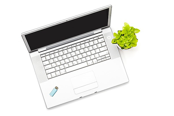 포토 JPG 스튜디오촬영 식물 계절 화분 화초 잎 생명 실내 누끼 사람없음 라이프 노트북 컴퓨터 하이앵글 봄 USB usb메모리 원예식물 미니화분 미니사철 국내포토 뷰포인트 내부 생활 전자제품 파일형식