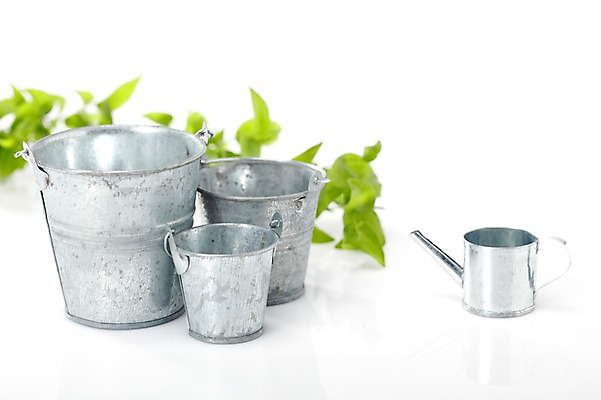 포토 JPG 스튜디오촬영 식물 계절 화분 화초 잎 생명 실내 사람없음 라이프 봄 물뿌리개 원예식물 국내포토 내부 생활 파일형식