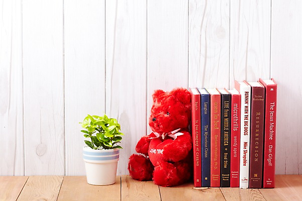 포토 JPG 스튜디오촬영 식물 계절 표지 화분 화초 인형 잎 생명 실내 사람없음 라이프 간행물 책 장난감 쌓기 봄 곰인형 커버 여러권 문학 정리 양장본 원예식물 미니화분 정열 미니사철 국내포토 다수 모션 내부 생활 파일형식