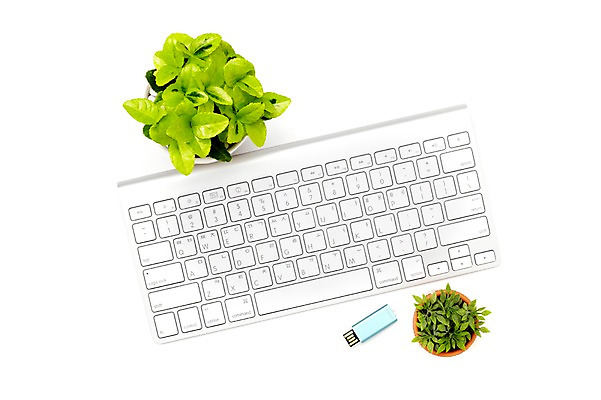 포토 JPG 스튜디오촬영 식물 계절 화분 화초 잎 생명 실내 누끼 사람없음 라이프 컴퓨터 하이앵글 봄 키보드 USB usb메모리 원예식물 미니화분 국내포토 뷰포인트 내부 생활 전자제품 파일형식