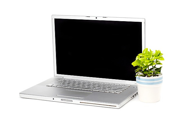 포토 JPG 스튜디오촬영 식물 계절 화분 화초 잎 생명 실내 누끼 사람없음 라이프 노트북 컴퓨터 봄 원예식물 미니화분 미니사철 국내포토 내부 생활 전자제품 파일형식