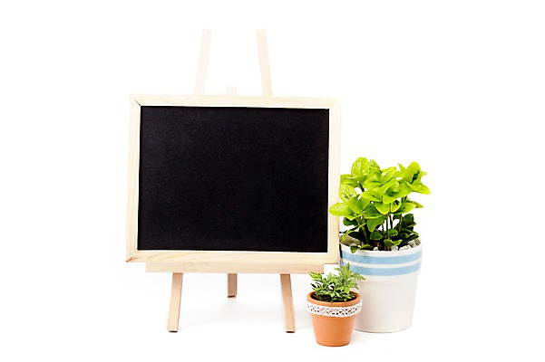 포토 JPG 스튜디오촬영 식물 계절 화분 화초 잎 생명 알림판 실내 누끼 사람없음 라이프 칠판 봄 이젤 메모판 원예식물 미니사철 상록넉줄고사리 국내포토 내부 생활 미술도구 파일형식