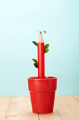 포토 JPG 스튜디오촬영 식물 화분 백그라운드 잎 실내 사람없음 필기구 연필 봄 국내포토 계절 문구용품 학용품 내부 파일형식