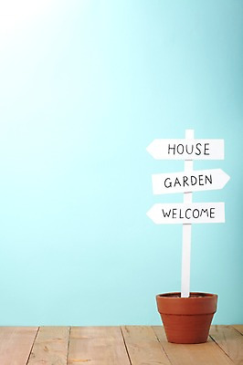 포토 JPG 스튜디오촬영 식물 화분 백그라운드 알림판 실내 사람없음 장식 봄 표지판 오브젝트 국내포토 계절 내부 파일형식