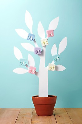 포토 JPG 스튜디오촬영 나무 식물 화분 백그라운드 실내 선물 사람없음 장식 선물상자 상자 봄 오브젝트 포장상자 국내포토 계절 내부 파일형식