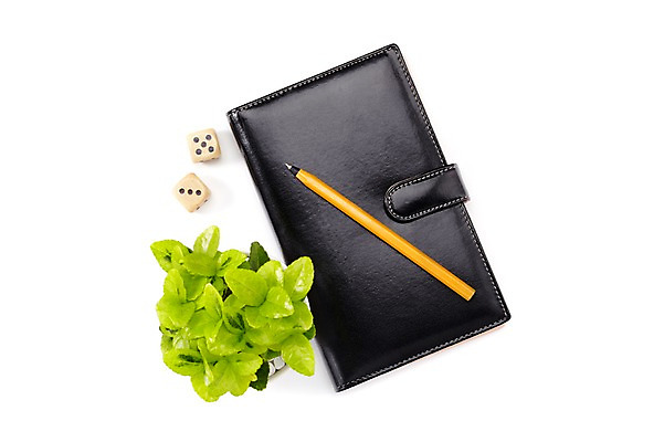 포토 JPG 스튜디오촬영 식물 계절 화분 화초 잎 생명 문구용품 실내 누끼 사람없음 라이프 하이앵글 필기구 펜 다이어리 사무용품 봄 주사위 원예식물 미니사철 국내포토 뷰포인트 내부 생활 오브젝트 파일형식