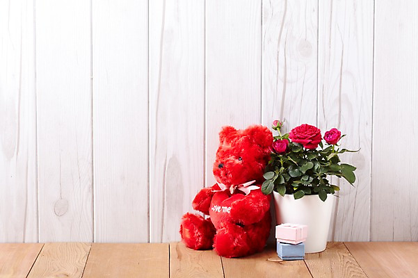 포토 JPG 스튜디오촬영 식물 계절 꽃잎 꽃 화분 화초 인형 백그라운드 잎 포장 생명 실내 선물 사람없음 라이프 선물상자 상자 장난감 장미 봄 곰인형 원예식물 국내포토 내부 생활 파일형식