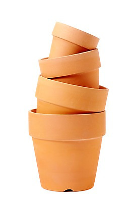 포토 JPG 스튜디오촬영 계절 화분 실내 누끼 사람없음 쌓기 여러개 봄 미니화분 국내포토 다수 모션 내부 파일형식