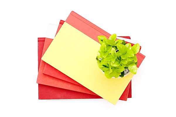 포토 JPG 스튜디오촬영 식물 계절 표지 화분 화초 백그라운드 잎 생명 실내 누끼 사람없음 라이프 간행물 책 하이앵글 쌓기 봄 커버 오브젝트 여러권 문학 양장본 원예식물 미니화분 미니사철 국내포토 뷰포인트 다수 모션 내부 생활 파일형식