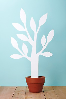 포토 JPG 스튜디오촬영 나무 식물 화분 백그라운드 실내 사람없음 장식 모형 봄 오브젝트 국내포토 계절 내부 파일형식