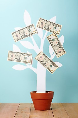 포토 JPG 스튜디오촬영 나무 식물 화분 백그라운드 지폐 돈 실내 사람없음 장식 달러 봄 오브젝트 외화 국내포토 계절 내부 금융 재산 파일형식