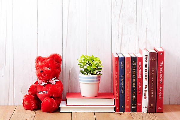 포토 JPG 스튜디오촬영 식물 계절 표지 화분 화초 인형 잎 생명 실내 사람없음 라이프 간행물 책 장난감 쌓기 봄 곰인형 커버 여러권 문학 정리 양장본 원예식물 미니화분 정열 미니사철 국내포토 다수 모션 내부 생활 파일형식