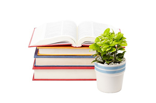 포토 JPG 스튜디오촬영 식물 계절 표지 화분 화초 잎 생명 실내 누끼 사람없음 라이프 간행물 책 쌓기 봄 펼침 커버 오브젝트 여러권 문학 양장본 원예식물 미니화분 미니사철 국내포토 다수 모션 내부 생활 파일형식