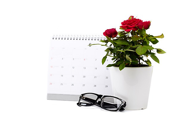 포토 JPG 스튜디오촬영 식물 계절 꽃잎 꽃 화분 안경 화초 잎 생명 실내 누끼 사람없음 라이프 장미 봄 달력 원예식물 국내포토 잡화 내부 생활 파일형식