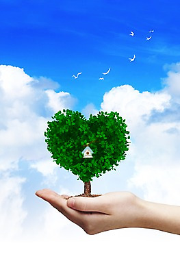PSD 나무 식물 동물 구름 편집 편집이미지 손 조류 하늘 사랑 한명 사람 신체부위 3D 하트 하트나무 이미지편집 편집3D 자연요소 모양 1 감정 디지털합성 파일형식