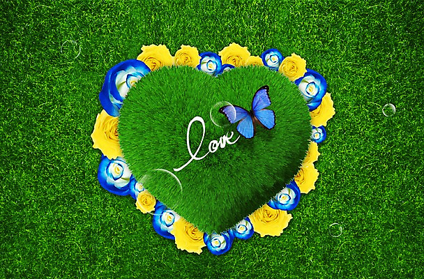 PSD 식물 동물 편집 편집이미지 꽃 나비 곤충 사랑 잔디 초원 사람없음 장미 3D 물방울 하트 풀 비눗방울 공기방울 이미지편집 편집3D 모양 감정 디지털합성 파일형식