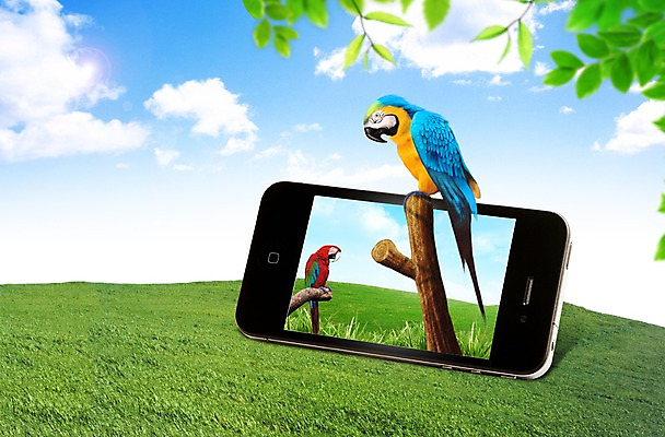 PSD 식물 동물 구름 편집이미지 잎 조류 하늘 모바일 무선통신 잔디 초원 사람없음 스마트폰 핸드폰 통신기기 나뭇가지 풀 전화기 스마트 앵무새 소통 이미지편집 자연요소 나무 컨셉 통신 전자제품 스마트기기 기계 파일형식