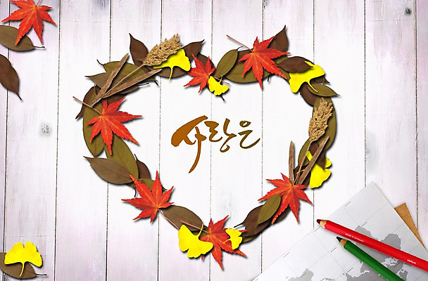 PSD 식물 편집이미지 단풍 낙엽 잎 나뭇잎 색연필 프레임 사랑 틀 사람없음 다이어리 공책 하트 은행잎 이미지편집 모양 감정 문구용품 학용품 사무용품 파일형식