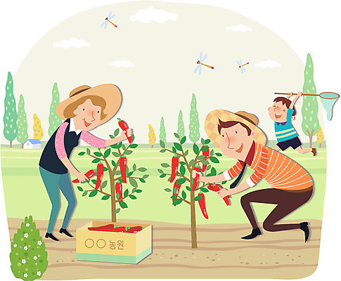전신 나무 식물 동물 구름 모자 여자 남자 아들 어린이 곤충 밭 농업 채소 일러스트 가족 고추 엄마 주택 함께함 서기 미소 웃음 사람 소년 성인 세명 상자 부모 농사 자녀 아빠 잠자리 농부 밀짚모자 귀농 고추잠자리 채집망 고추밭 국내일러스트 AI파일 자연요소 직업 모자_잡화 잡화 산업 컨셉 관계 모션 표정 건물 파일형식 벡터