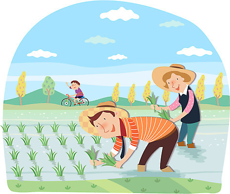 전신 나무 식물 구름 모자 여자 남자 아들 어린이 교통수단 농업 일러스트 가족 엄마 산 논 함께함 미소 웃음 사람 소년 성인 세명 부모 농사 자전거 자녀 아빠 농부 승차 밀짚모자 귀농 모내기 국내일러스트 AI파일 자연요소 직업 모자_잡화 잡화 산업 교통 컨셉 관계 모션 표정 바이크 파일형식 벡터