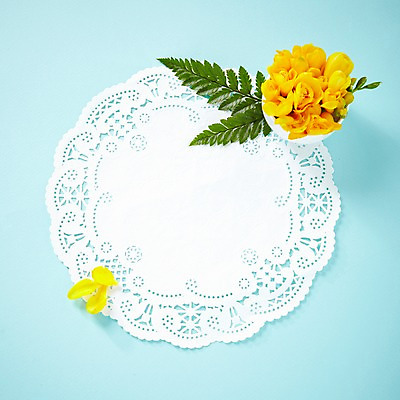 포토 JPG 스튜디오촬영 식물 꽃잎 꽃 컬러 백그라운드 잎 꽃백그라운드 프레임 실내 사람없음 하이앵글 노란색 식물백그라운드 접시받침 프리지어 국내포토 레이스천 뷰포인트 내부 직물 받침대 파일형식