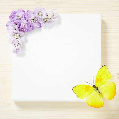 포토 JPG 스튜디오촬영 식물 한마리 꽃잎 꽃 나비 곤충 백그라운드 꽃백그라운드 프레임 광고판 알림판 실내 사람없음 노란색 보라색 알림 식물백그라운드 스토크 국내포토 동물 1 컬러 내부 판 파일형식