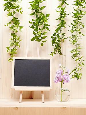 포토 JPG 스튜디오촬영 나무 식물 꽃 백그라운드 잎 미니배너 유리병 선반 사각프레임 프레임 광고판 알림판 실내 사람없음 목재 꽃병 칠판 알림 식물백그라운드 미니칠판 스마일락스 스토크 국내포토 배너 가구 재료 병_용기 내부 사각형 판 미니 파일형식