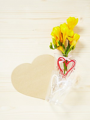 포토 JPG 스튜디오촬영 식물 꽃잎 꽃 종이 컬러 백그라운드 잎 꽃백그라운드 프레임 실내 사람없음 하이앵글 노란색 꽃병 하트 식물백그라운드 프리지어 국내포토 모양 뷰포인트 내부 파일형식