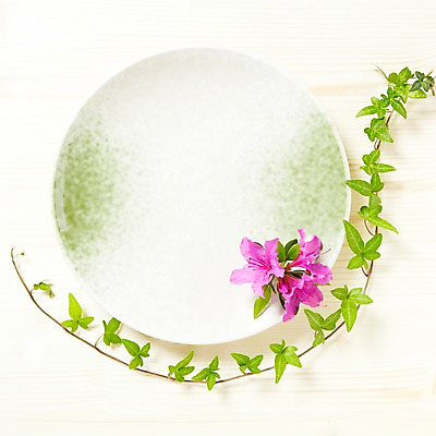 포토 JPG 스튜디오촬영 식물 그릇 접시 꽃잎 꽃 줄기 분홍색 컬러 백그라운드 잎 꽃백그라운드 프레임 실내 사람없음 하이앵글 담쟁이덩굴 식물백그라운드 철쭉 아이비 국내포토 식기 뷰포인트 내부 덩굴 파일형식