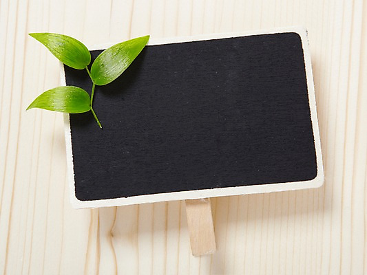 포토 JPG 스튜디오촬영 나무 식물 꽃 백그라운드 잎 프레임 광고판 알림판 실내 사람없음 목재 알림 식물백그라운드 스마일락스 국내포토 재료 내부 판 파일형식