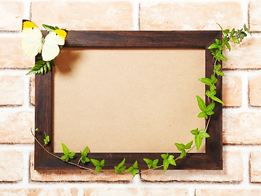 포토 JPG 스튜디오촬영 나무 식물 나비 곤충 액자 백그라운드 잎 벽돌 프레임 광고판 알림판 실내 액자틀 사람없음 목재 담쟁이덩굴 알림 식물백그라운드 아이비 국내포토 동물 재료 틀 내부 덩굴 판 파일형식