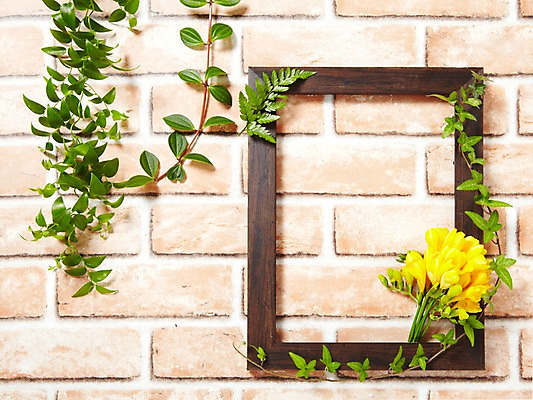 포토 JPG 스튜디오촬영 나무 식물 꽃 액자 백그라운드 잎 꽃백그라운드 벽돌 프레임 광고판 알림판 실내 액자틀 사람없음 목재 담쟁이덩굴 알림 식물백그라운드 아이비 스마일락스 프리지어 국내포토 재료 틀 내부 덩굴 판 파일형식