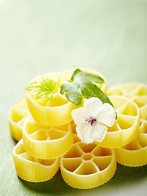 포토 JPG 스튜디오촬영 식물 꽃잎 꽃 음식 백그라운드 잎 꽃백그라운드 식재료 프레임 파스타 실내 근접촬영 사람없음 아웃포커스 면류 면 담쟁이덩굴 식물백그라운드 아이비 패랭이꽃 파스타면 국내포토 뷰포인트 서양음식 촬영기법 내부 덩굴 파일형식