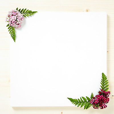 포토 JPG 스튜디오촬영 식물 꽃잎 꽃 백그라운드 잎 꽃백그라운드 프레임 광고판 알림판 실내 사람없음 알림 식물백그라운드 패랭이꽃 국내포토 내부 판 파일형식