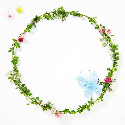 포토 JPG 스튜디오촬영 식물 꽃잎 꽃 나비 곤충 백그라운드 잎 꽃백그라운드 프레임 실내 사람없음 장미 덩굴 식물백그라운드 국내포토 동물 내부 파일형식