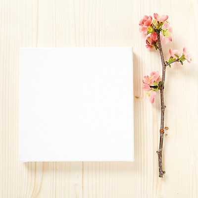 포토 JPG 스튜디오촬영 식물 꽃잎 꽃 백그라운드 잎 꽃백그라운드 프레임 광고판 알림판 실내 사람없음 나뭇가지 알림 식물백그라운드 산다화 국내포토 나무 내부 판 파일형식