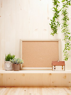 포토 JPG 스튜디오촬영 나무 식물 화분 액자 백그라운드 잎 주택 프레임 광고판 알림판 실내 액자틀 사람없음 목재 모형 미니어처 담쟁이덩굴 알림 식물백그라운드 아이비 미니화분 국내포토 재료 틀 내부 건물 덩굴 판 파일형식