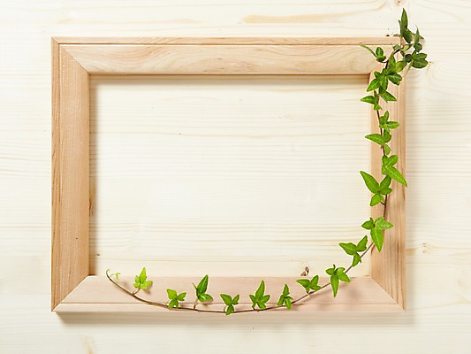 포토 JPG 스튜디오촬영 나무 식물 액자 백그라운드 잎 벽돌 프레임 광고판 알림판 실내 액자틀 사람없음 목재 담쟁이덩굴 알림 식물백그라운드 아이비 국내포토 재료 틀 내부 덩굴 판 파일형식
