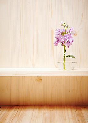 포토 JPG 스튜디오촬영 나무 식물 꽃 백그라운드 잎 꽃백그라운드 유리병 선반 실내 사람없음 목재 꽃병 판넬 식물백그라운드 스토크 국내포토 가구 재료 병_용기 내부 파일형식