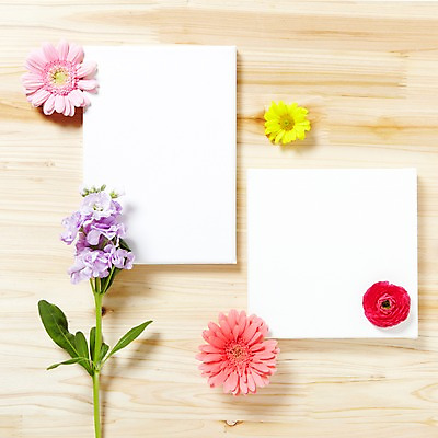 포토 JPG 스튜디오촬영 식물 꽃잎 꽃 백그라운드 잎 꽃백그라운드 프레임 국화 광고판 알림판 실내 사람없음 하이앵글 다양 알림 소국 식물백그라운드 거베라 라넌큘러스 스토크 국내포토 뷰포인트 다수 내부 판 파일형식