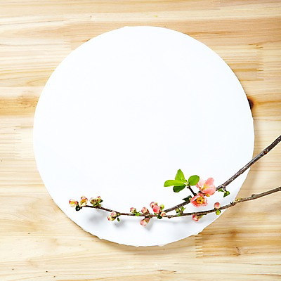 포토 JPG 스튜디오촬영 식물 그릇 식기 접시 꽃잎 꽃 백그라운드 잎 꽃백그라운드 프레임 실내 사람없음 하이앵글 나뭇가지 식물백그라운드 산다화 국내포토 나무 뷰포인트 내부 파일형식