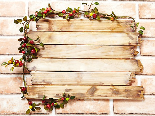 포토 JPG 스튜디오촬영 나무 식물 열매 백그라운드 잎 과일 프레임 광고판 알림판 실내 사람없음 목재 나뭇가지 앵두 알림 식물백그라운드 앵두나무 국내포토 재료 내부 판 파일형식