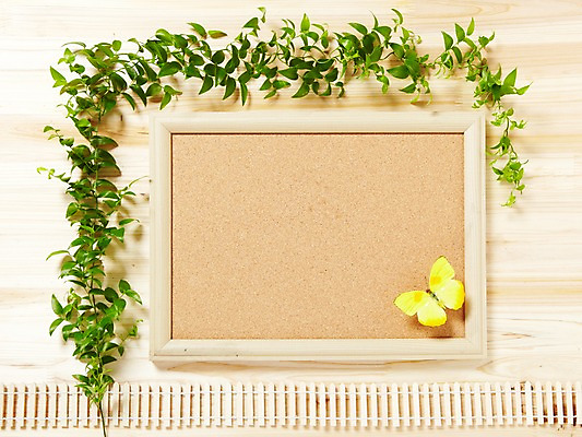 포토 JPG 스튜디오촬영 나무 식물 나비 액자 백그라운드 잎 프레임 광고판 알림판 실내 액자틀 사람없음 목재 알림 식물백그라운드 스마일락스 국내포토 곤충 재료 틀 내부 판 파일형식