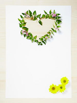 포토 JPG 스튜디오촬영 식물 꽃잎 꽃 종이 백그라운드 꽃백그라운드 프레임 국화 광고판 알림판 실내 사람없음 하트 알림 소국 식물백그라운드 스마일락스 국내포토 모양 내부 판 파일형식
