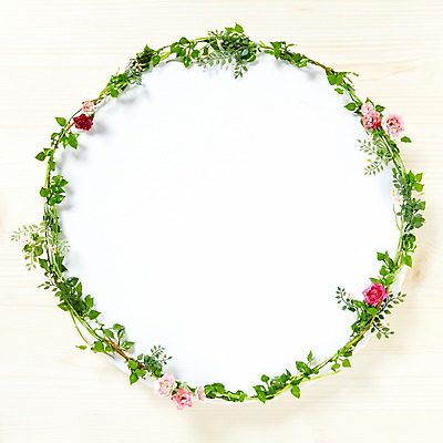 포토 JPG 스튜디오촬영 식물 꽃잎 꽃 백그라운드 잎 프레임 실내 사람없음 장미 덩굴 식물백그라운드 국내포토 내부 파일형식