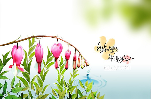 PSD 식물 편집이미지 꽃 호수 컬러 여러송이 백그라운드 잎 자연 나뭇잎 풍경 잔디 초원 사람없음 물 물방울 연못 풀 자주색 방울꽃 이미지편집 자연요소 다수 생태계 파일형식