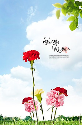 PSD 식물 구름 편집이미지 꽃 분홍색 컬러 여러송이 백그라운드 잎 자연 하늘 나뭇잎 풍경 잔디 초원 사람없음 빨간색 노란색 나뭇가지 풀 카네이션 이미지편집 자연요소 나무 다수 생태계 파일형식