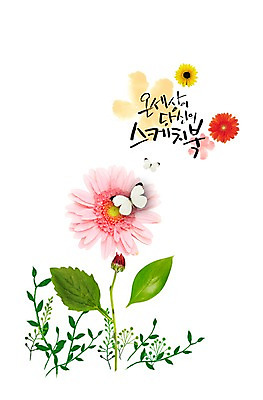 PSD 식물 동물 편집이미지 꽃 컬러 여러송이 나비 곤충 백그라운드 잎 자연 나뭇잎 풍경 사람없음 컬러풀 풀 이미지편집 다수 생태계 파일형식