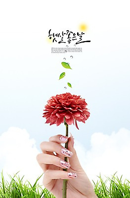 PSD 식물 편집이미지 손 꽃 컬러 백그라운드 한송이 자연 하늘 나뭇잎 관리 들기 사람 풍경 잔디 초원 신체부위 장식 빨간색 뷰티 물방울 풀 네일아트 손톱 이미지편집 1 잎 모션 생태계 송이 파일형식